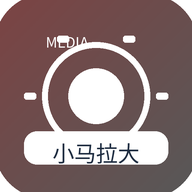 小马拉大车